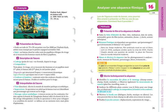 Fiches brevet Français 3e Brevet 2024: fiches de révision & quiz