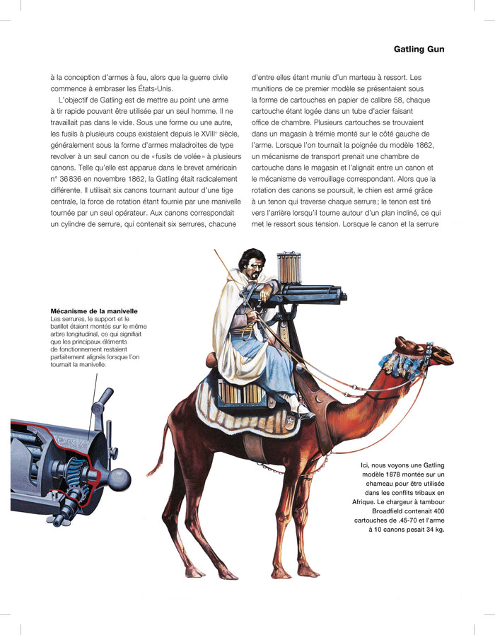 La grande histoire des armes