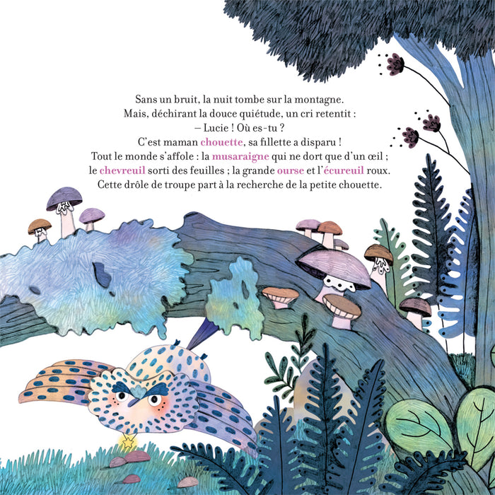 Contes de la nature - La nuit, la chouette et le soleil