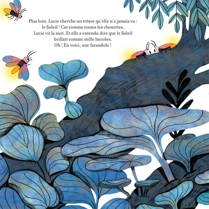 Contes de la nature - La nuit, la chouette et le soleil