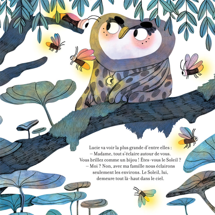 Contes de la nature - La nuit, la chouette et le soleil