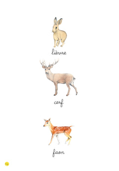 L'imagier Montessori de Balthazar