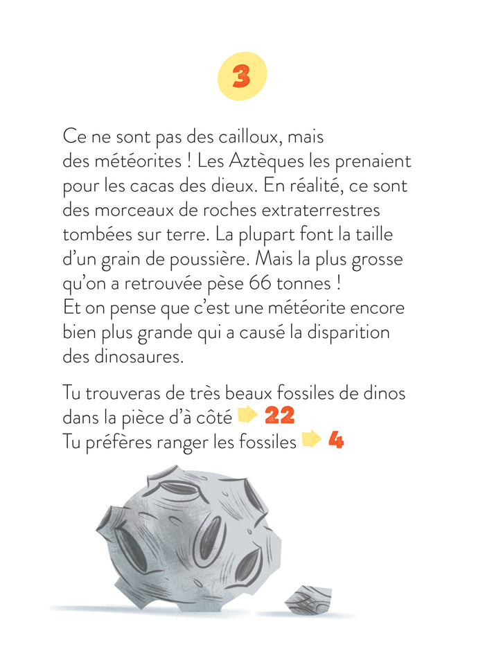 La classe dont tu es le héros - Mission Muséum ! - CP/CE1 6/7 ans