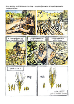 Semences sous influences