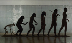 Ötzi, une vie décongelée