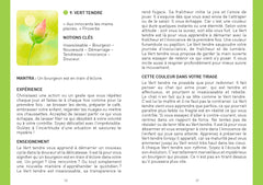 L'oracle des couleurs: L'arc-en-ciel de guérison