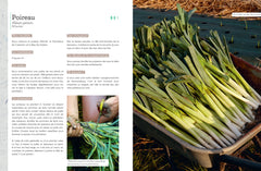 Dans votre potager, tout va pousser !