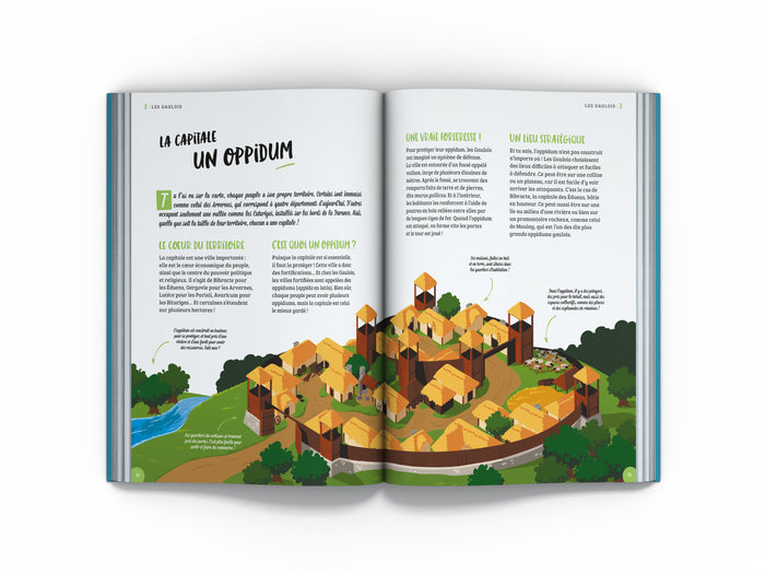 Histoire de France Vol.2 - Antiquité: Histodoc