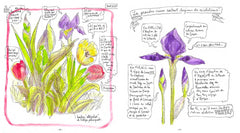 Carnet d'un jardinier amoureux du vivant