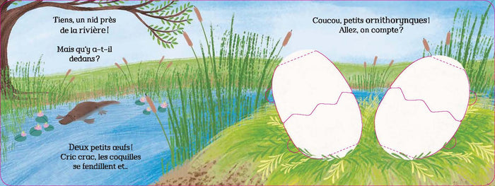 1, 2, 3, petits oeufs !