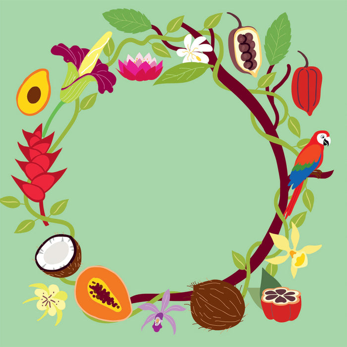 Mes imagiers de la vie sauvage - La jungle