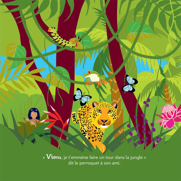 Mes imagiers de la vie sauvage - La jungle