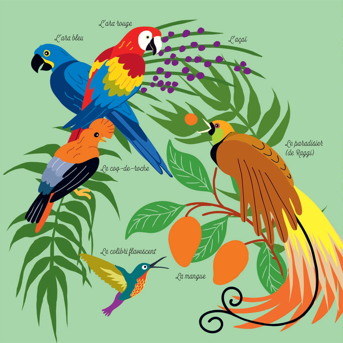 Mes imagiers de la vie sauvage - La jungle