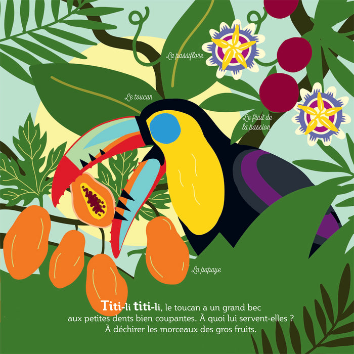 Mes imagiers de la vie sauvage - La jungle