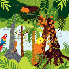 Mes imagiers de la vie sauvage - La jungle