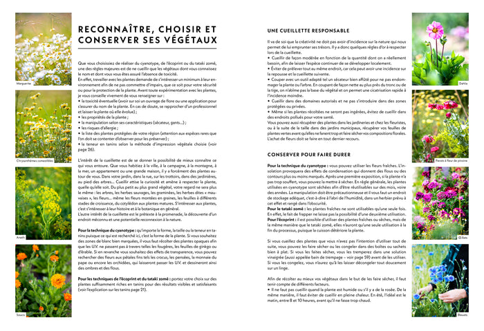 Impressions végétales