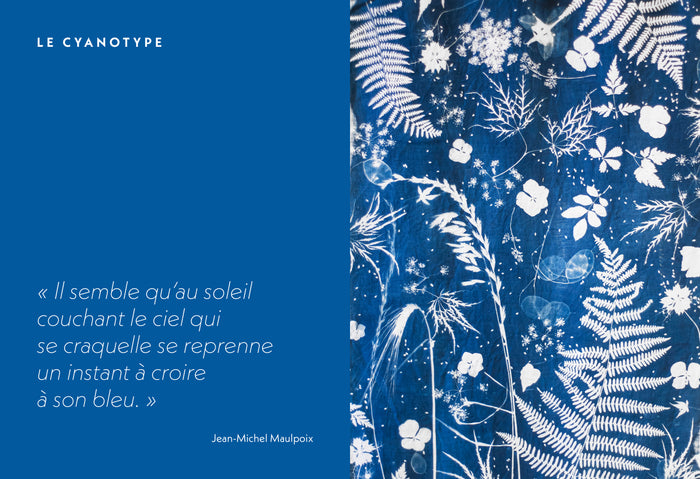 Impressions végétales