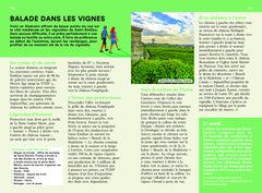 Bordeaux, bassin d'Arcachon, vignobles