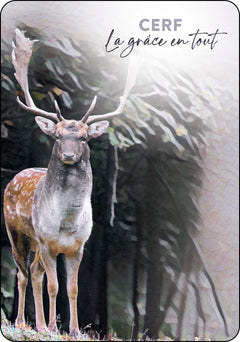 L'oracle du peuple des sages