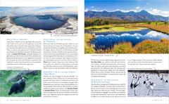 Tout pour préparer son voyage au Japon