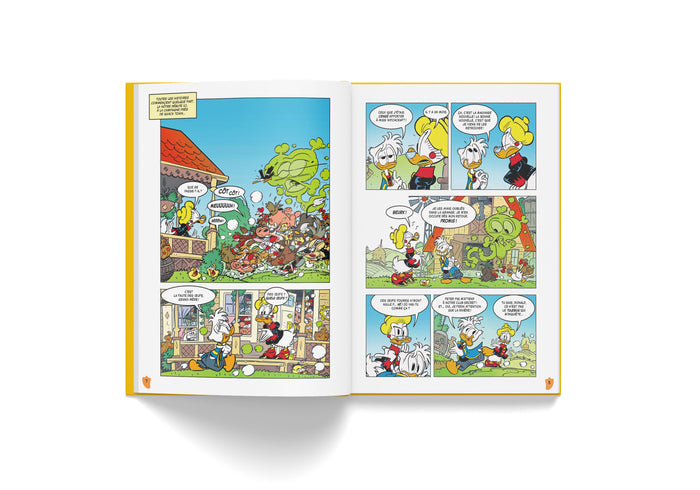 Bienvenue à Mickeyville