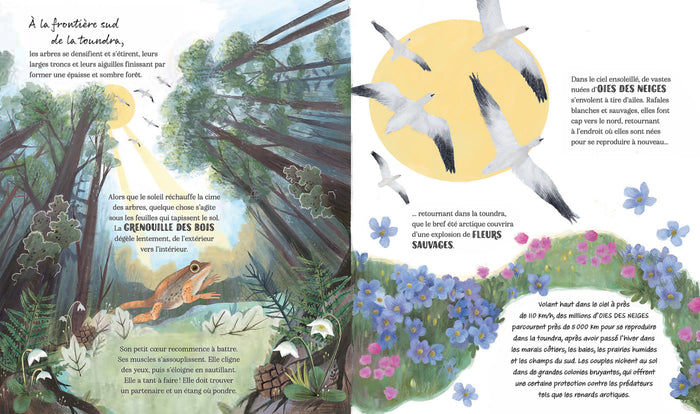 Un hiver en Arctique