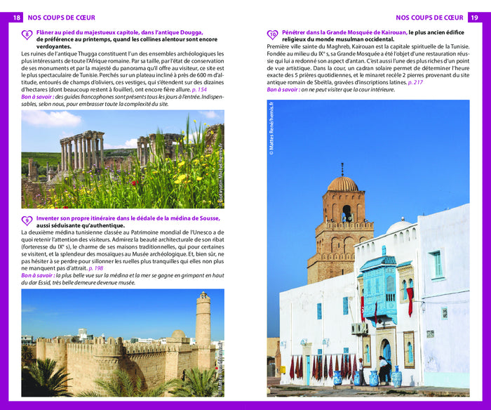 Guide du Routard Tunisie