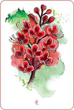 Mon oracle des fleurs de Bach