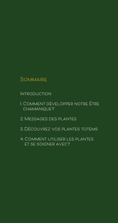 Paroles de plantes - Comment communiquer avec le règne végétal et rencontrer vos plantes totems ?