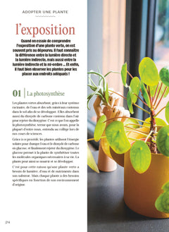 Chouchouter ses plantes
