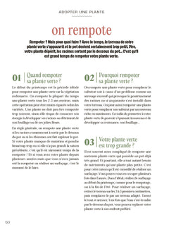 Chouchouter ses plantes