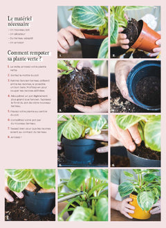 Chouchouter ses plantes