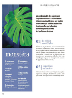 Chouchouter ses plantes
