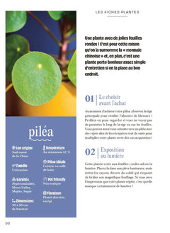 Chouchouter ses plantes