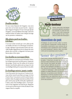 Chouchouter ses plantes