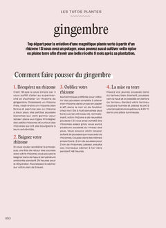 Chouchouter ses plantes