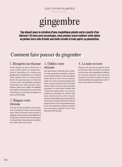 Chouchouter ses plantes
