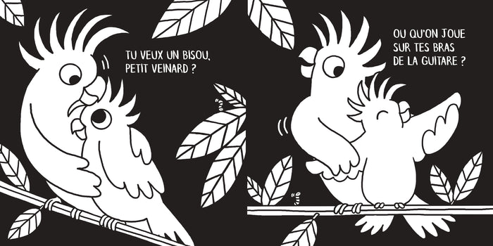 Coucou bébé ! - C'est toi qui choisis