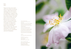 Chips de dahlias & Muffins aux coquelicots