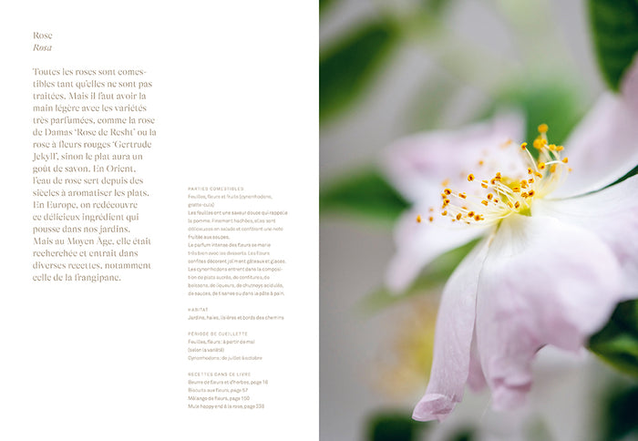 Chips de dahlias & Muffins aux coquelicots