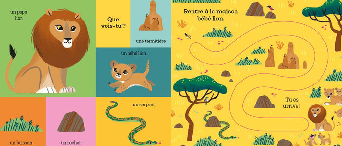 Suis le chemin bébé lion