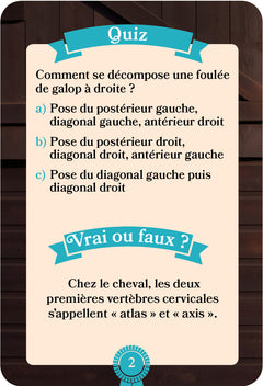 Une saison à cheval