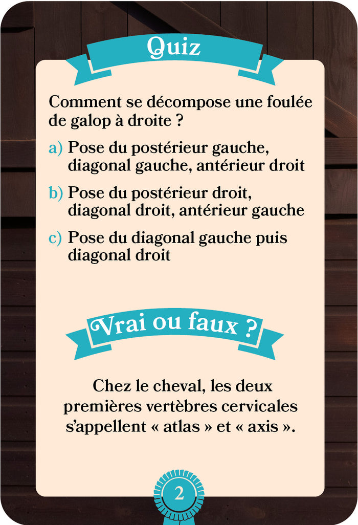 Une saison à cheval