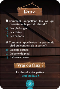 Une saison à cheval