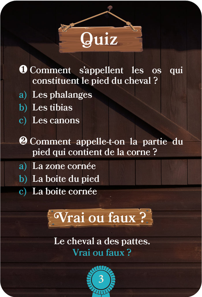 Une saison à cheval