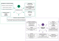 Révision optimale 3 en 1 - Semestre 5 IFSI