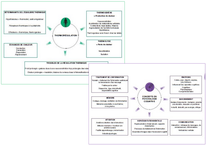 Révision optimale 3 en 1 - Semestre 5 IFSI