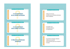 Flashcards IFSI. Toute l'UE 2 du semestre 3