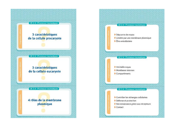 Flashcards IFSI. Toute l'UE 2 du semestre 3