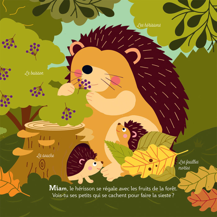 Mes imagiers de la vie sauvage - La forêt